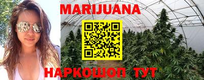дурь Новодвинск