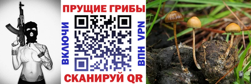 OMG рабочий сайт  даркнет сайт  Геленджик  Галлюциногенные грибы мухоморы 