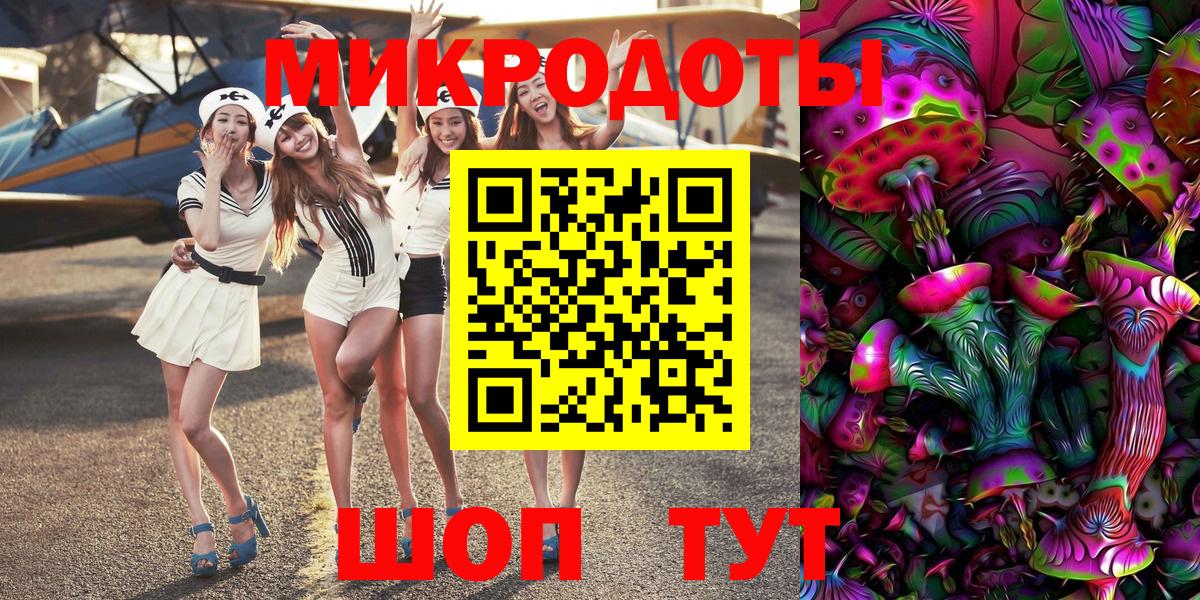 Псилоцибиновые грибы Psilocybe Геленджик
