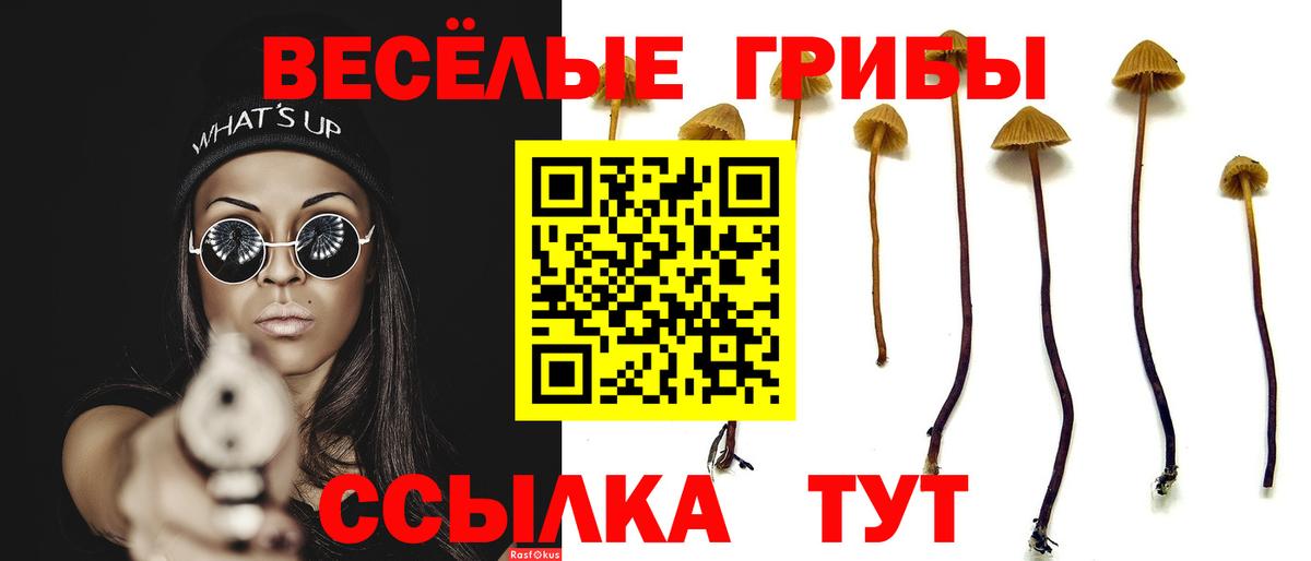 Геленджик  Псилоцибиновые грибы MAGIC MUSHROOMS  Вход с VPN 